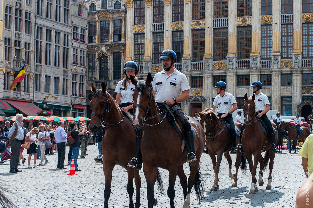 Полицейский парад на лошадях в Брюсселе